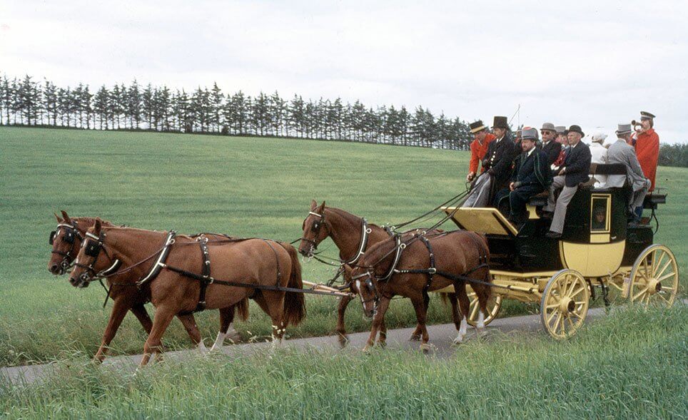 Coachen forspændt fire frederiksborgere på vej fra Tjele Gods til Randers ved Dansk Køre Forbunds 10-års jubilæum i 1983. Foto i Ole Jespersens samling.