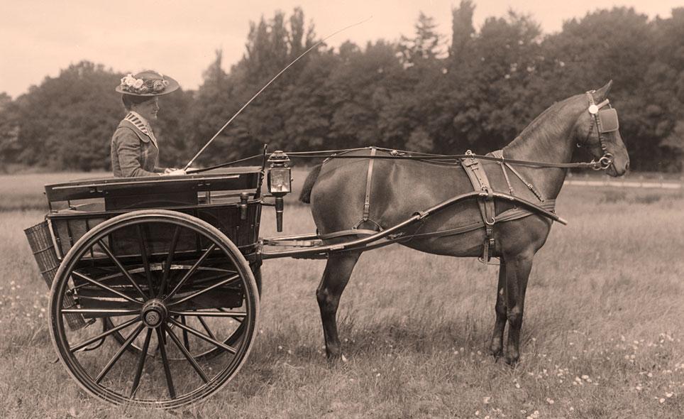 Fru Ingeborg Aagesen kører med governess-cart ved Concours Hippique 1904 på Traverbanen i Charlottenlund.