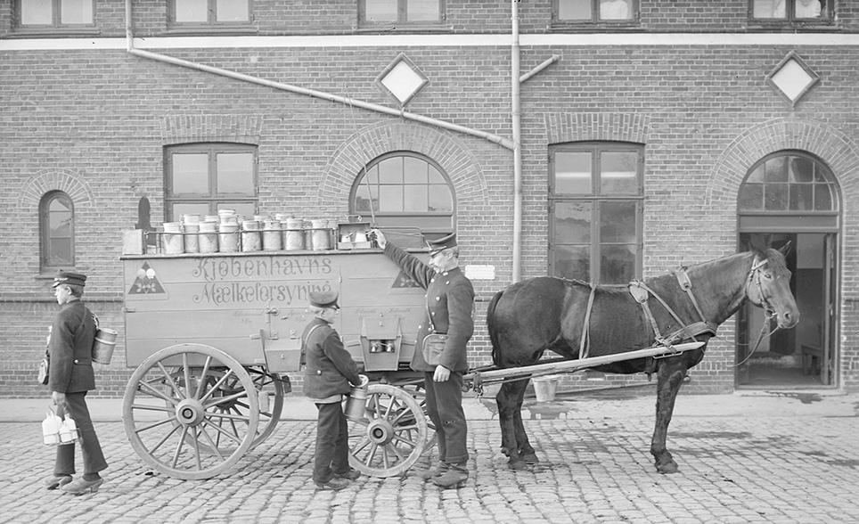 En af de kendte erhvervsvogne var mælkevognen. Her en vogn fra Kjøbenhavns Mælkeforsyning med aftapningshaner til kærnemælk og sødmælk. Mælkedrengene bringer mælk ud i flasker og små mælkespande. Enspænderhesten går med bringeseletøj. Der er ikke hintertøj på selen, men vognen har bremse. Foto: Lars Peter Elfelt, 1903. Det kgl. Biblioteks billedsamling.