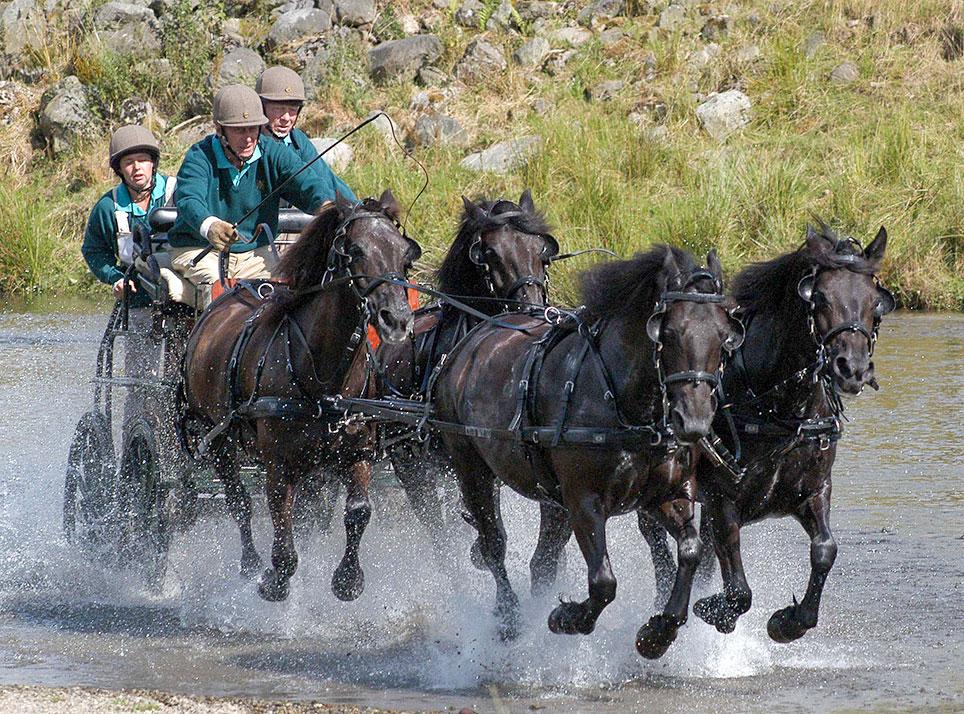 84-årige prins Philip kører gennem vandforhindringen ved et kørestævne i Lowther, Cumbria, England, 2005. Foto: Vic Kusin ©