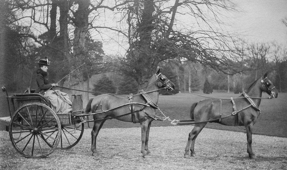 Prinsesse Alexandra af Wales (1844-1925) kører tandem forspændt en tohjulet dogcart med fading af kurveflet. Affotografering af foto i den kongelige fotografisamling på Frederiksborg Slot.