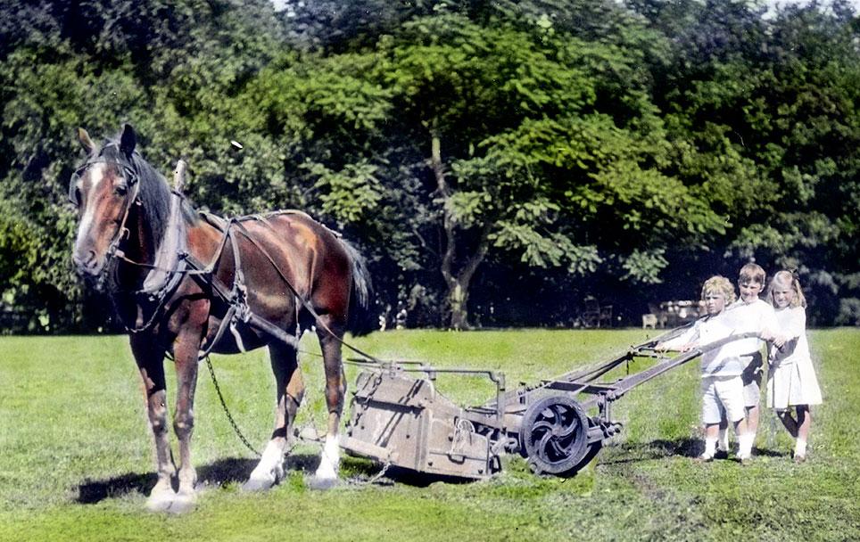 Prinsesse Ingrid og to brødre med hestetrukken plæneklipper i parken ved Sofiero. Foto: håndkolorerede dias, Dronning Ingrids Samling, Den kongelige Fotografisamling.