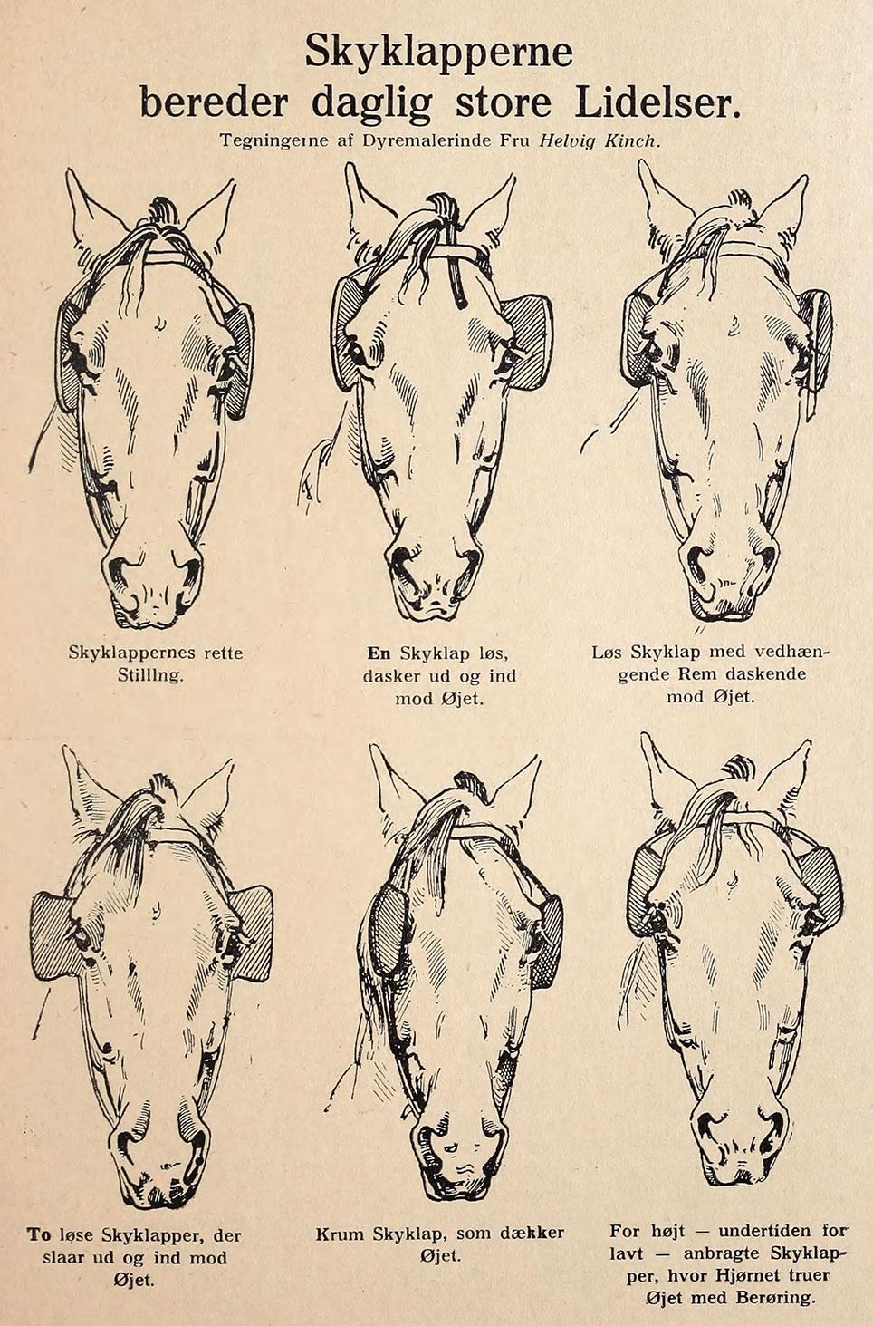 Rigtig og forkert placering af skyklapper. Gengivet efter Dyreværneforeningen "Svalen". Beretning og Regnskab for Aaret 1924, s. 21.