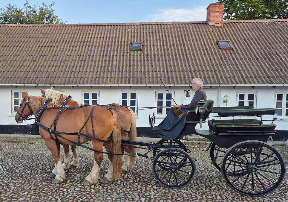 Char-à-banc fra N. Jepsen i Anders Horsbøl Nielsens samling. Privatfoto.