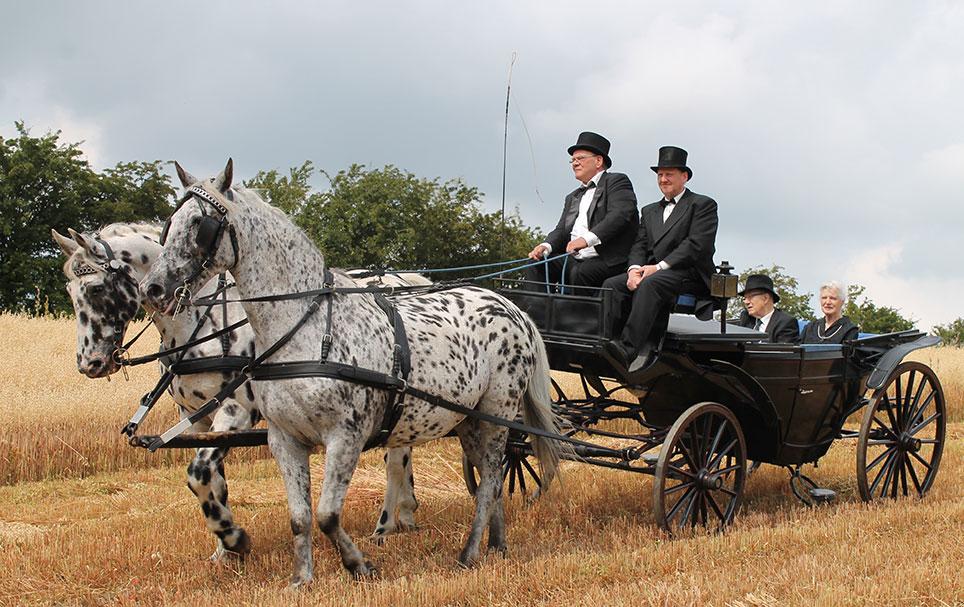 Albertis glaslandauer som åben vogn. Kusken, Helge Olesen fra Aarestrup, kører med sine knabstruppere ved Levende LandsbyVesterbølle i 2015. Vogntjener er Kaj Jensen, Byrsted. I bagsædet ses godsejer H.O.A. Kjeldsen, Lerkenfeldt, og hans svigermor Erna Skoubo Jensen. Foto: Hanne Kudahl.