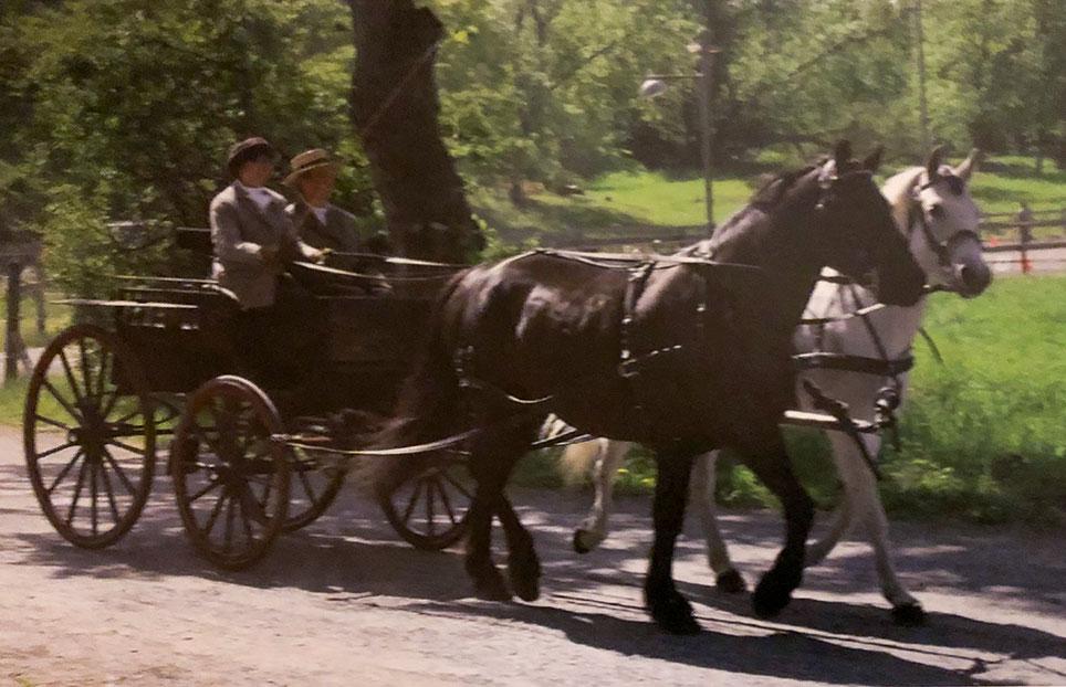 Dogcart fra Emanuel Nielsen tilhører Line Harang i Norge. Foto: Bjørn Høie.